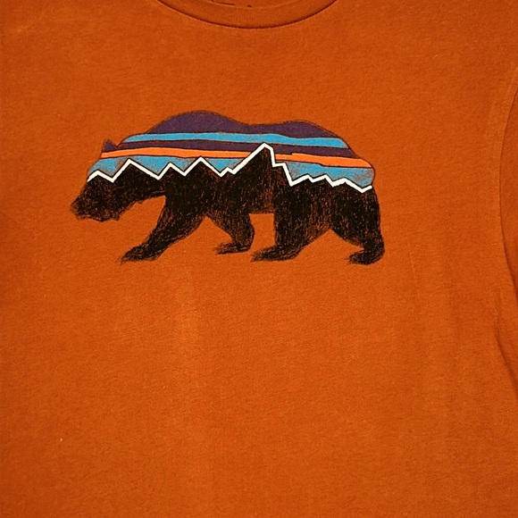 Patagonia Fitz Roy Bear Organic T-Shirt Small Slim Fit - Picture 9 of 16